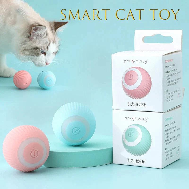 Bolinha interativa para gatos - Pimatinsshop